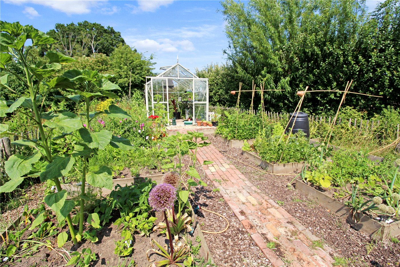 Kitchen Garden